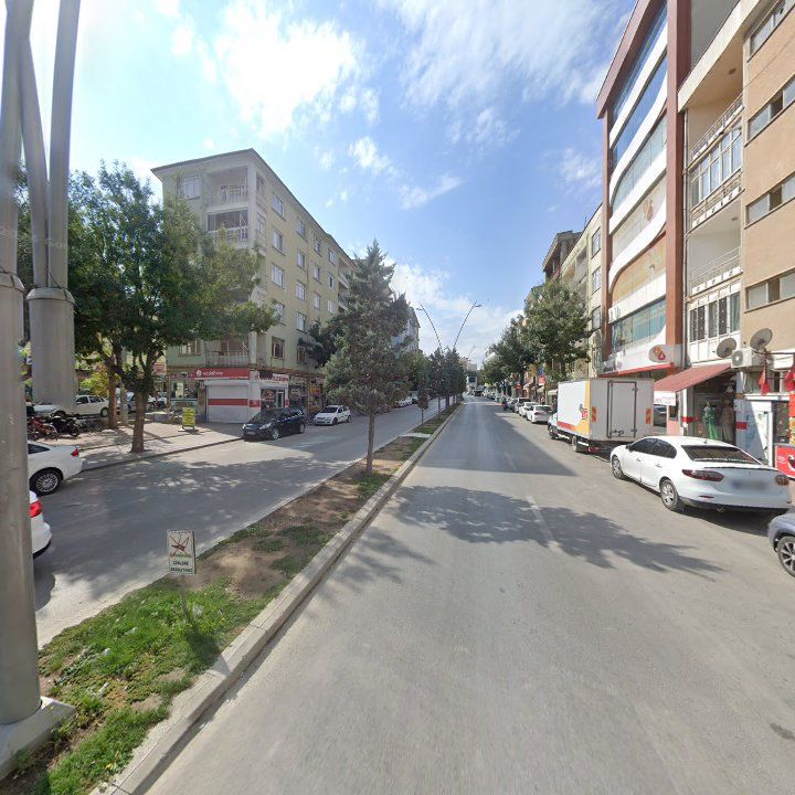 Fotoğraf 4