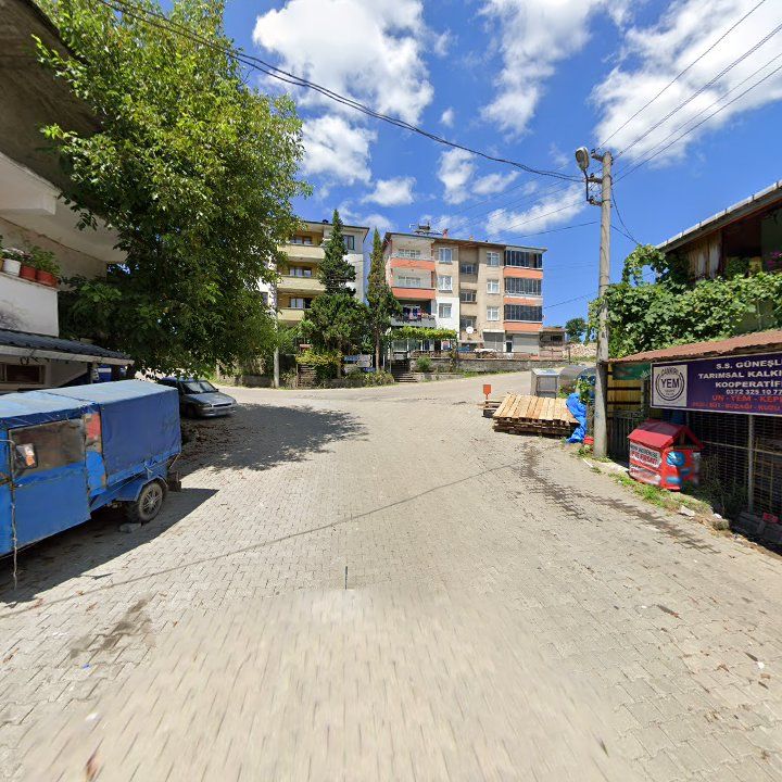 Fotoğraf 5
