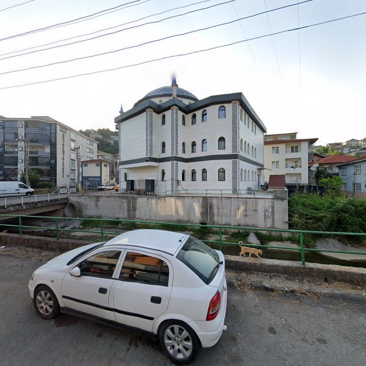Fotoğraf 3