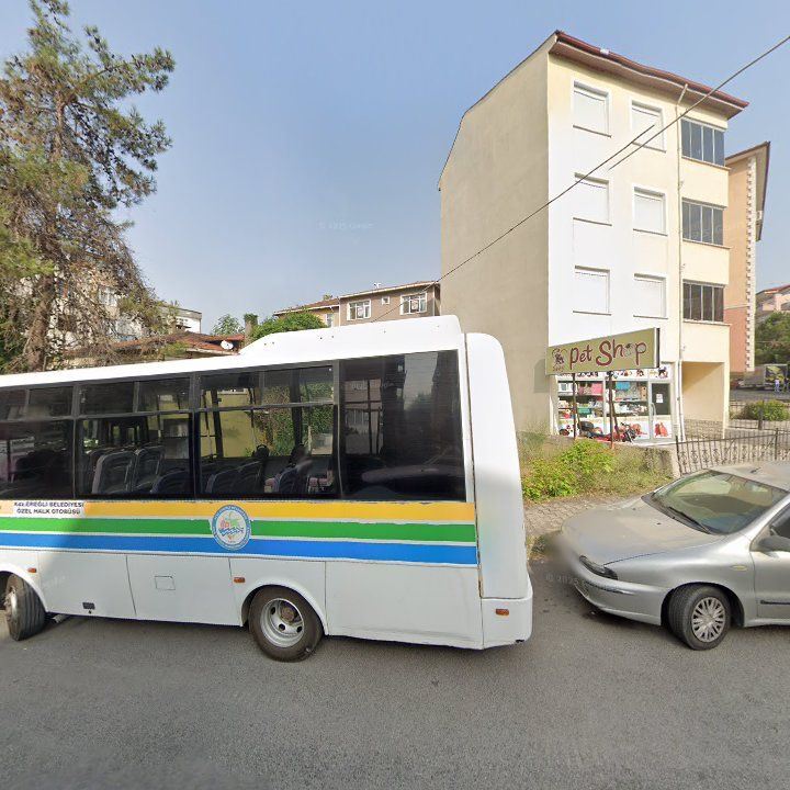 Fotoğraf 3