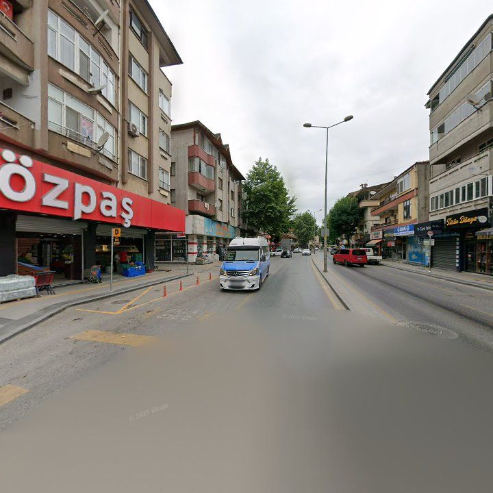 Fotoğraf 9