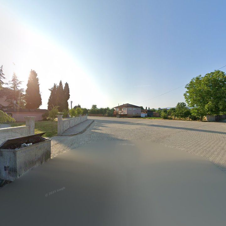 Fotoğraf 7