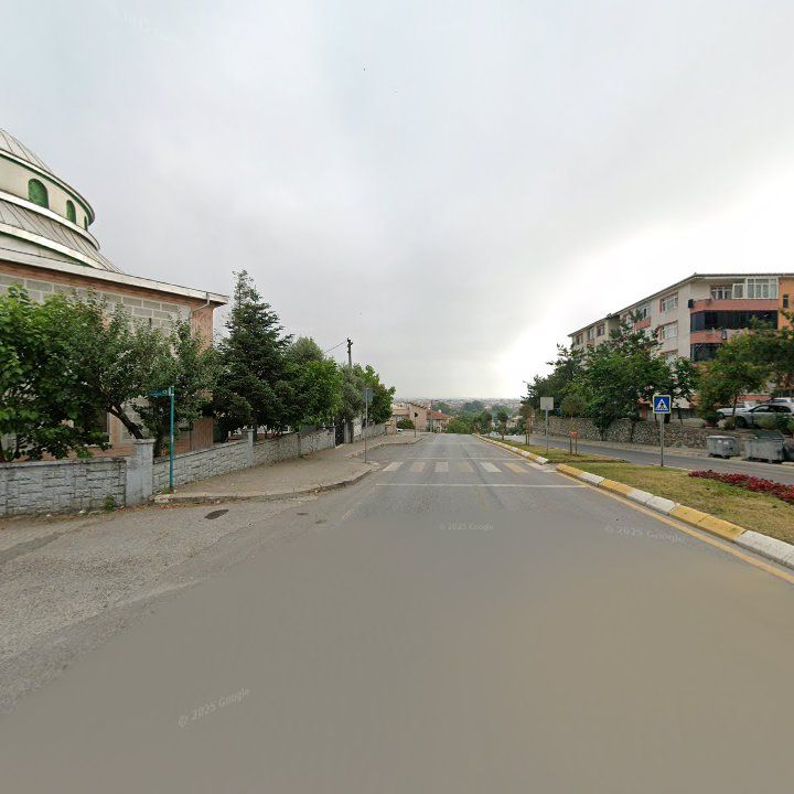 Fotoğraf 11