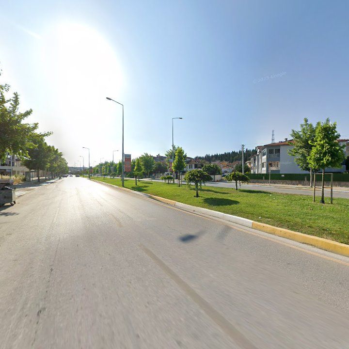 Fotoğraf 17