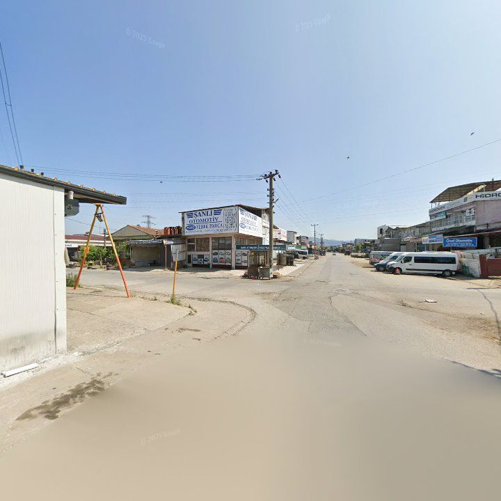 Fotoğraf 11