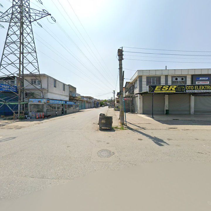 Fotoğraf 11