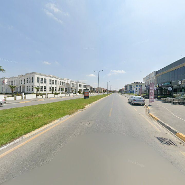 Fotoğraf 12