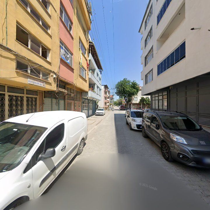Fotoğraf 6