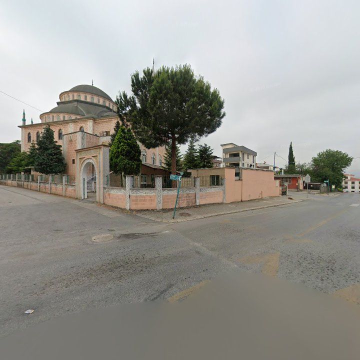 Fotoğraf 7