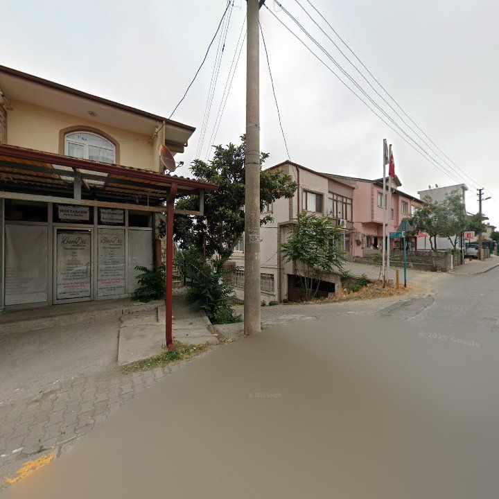 Fotoğraf 9