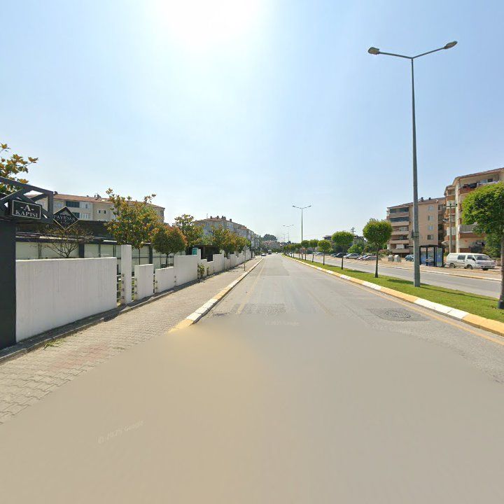 Fotoğraf 12