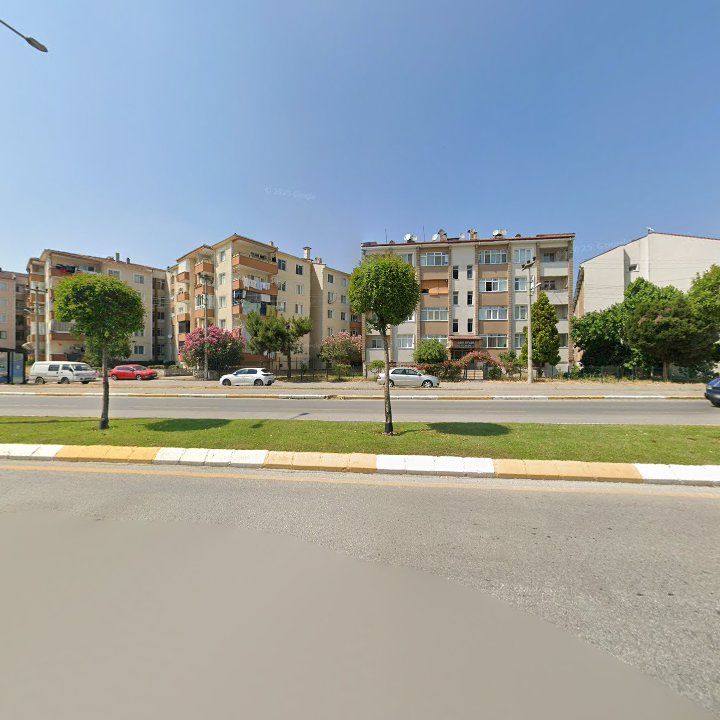 Fotoğraf 13