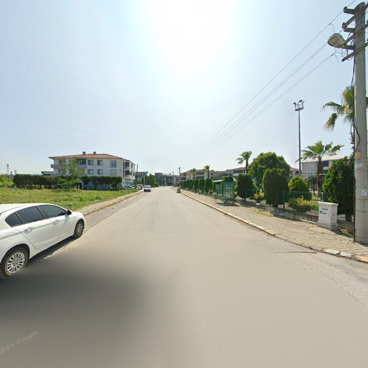 Fotoğraf 8