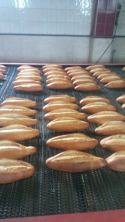 Sakarya Unlu Mamüller Gıda San. ve Tic. A.Ş.
