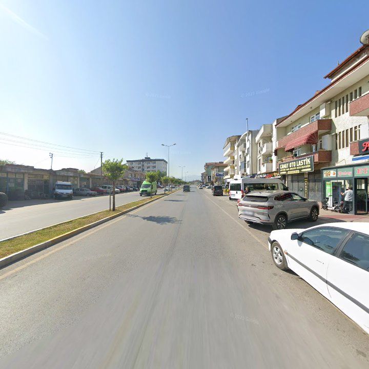 Fotoğraf 10