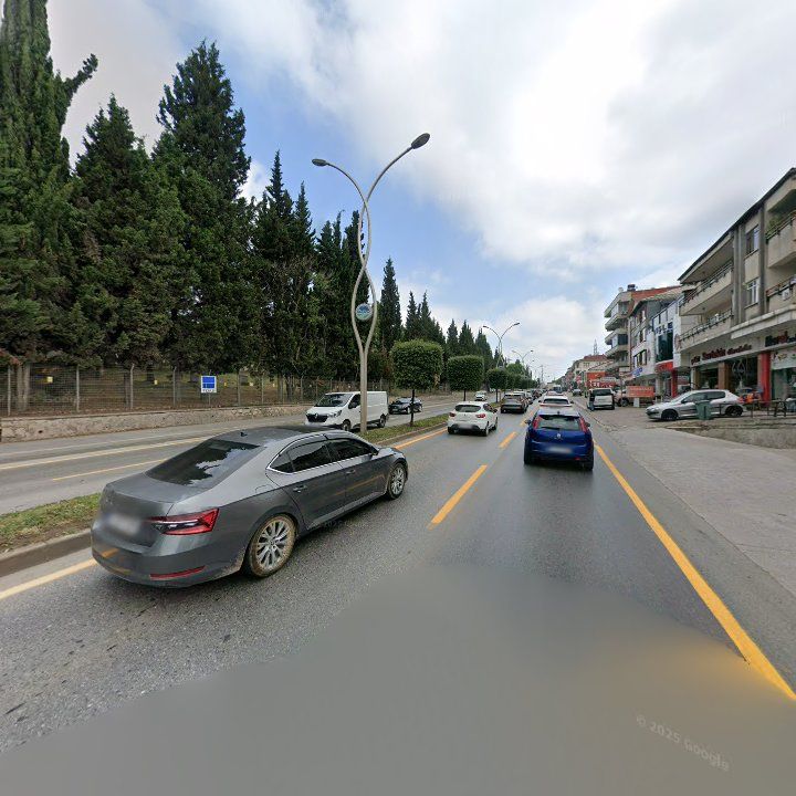 Fotoğraf 8