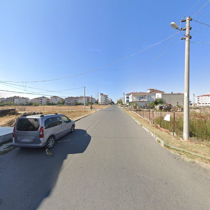 Fotoğraf 3