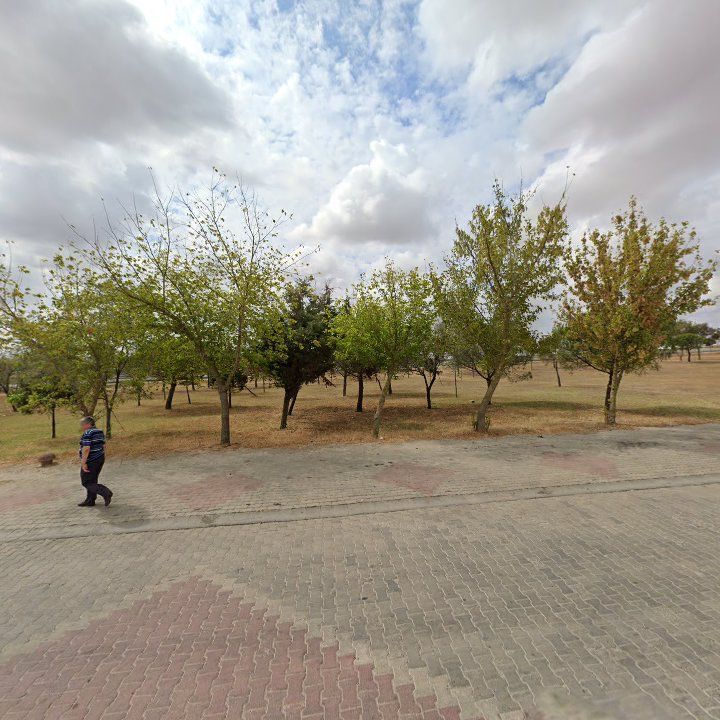 Fotoğraf 7