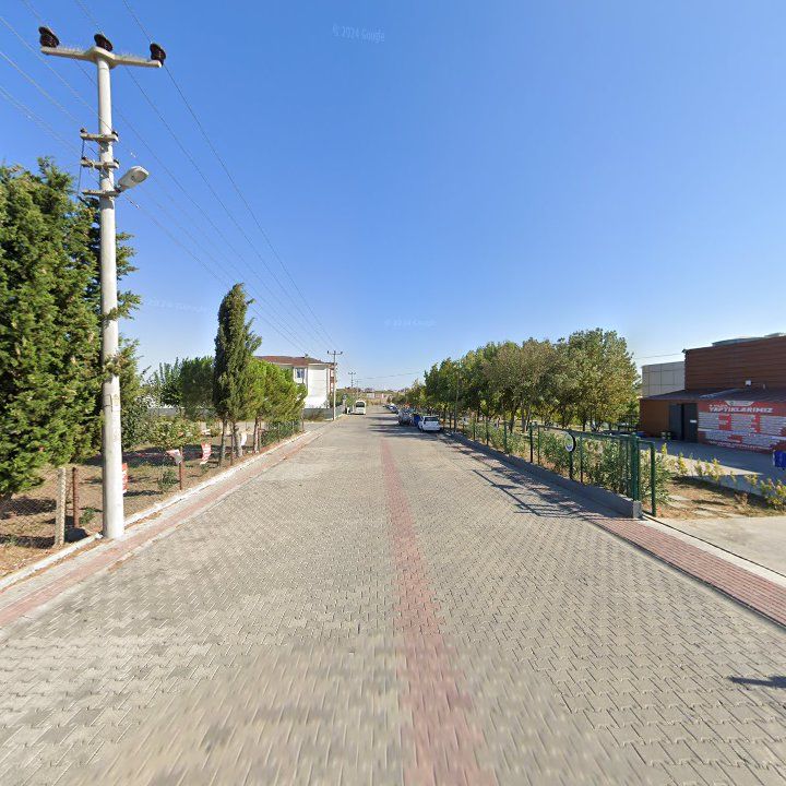 Fotoğraf 10