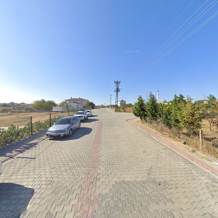 Fotoğraf 8