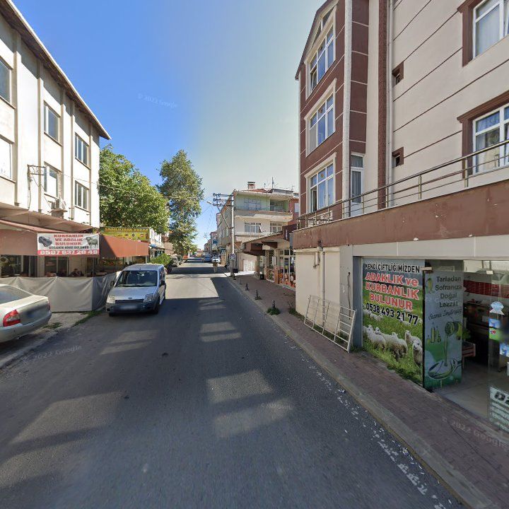 Fotoğraf 8