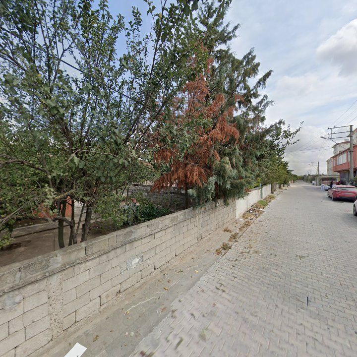 Fotoğraf 8