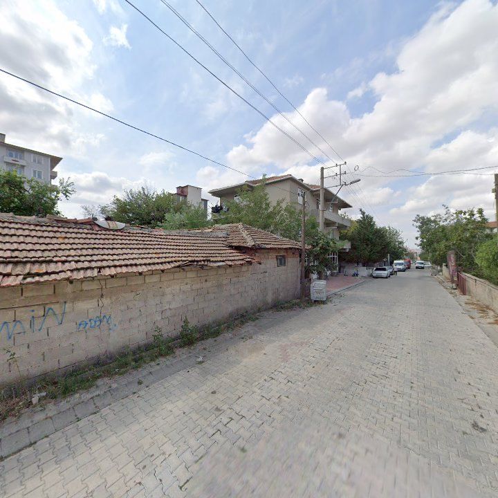 Fotoğraf 10