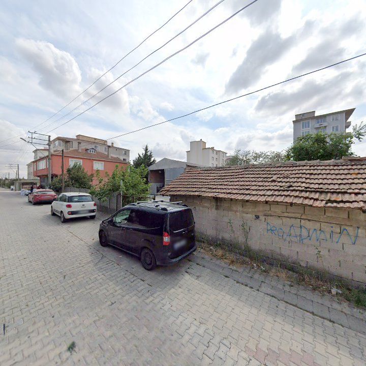 Fotoğraf 9