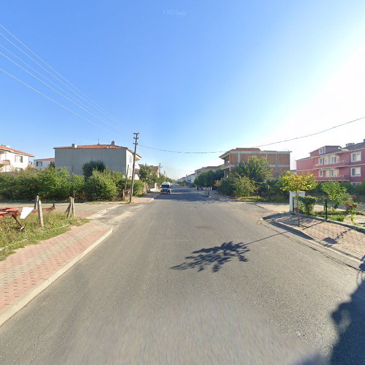 Fotoğraf 9
