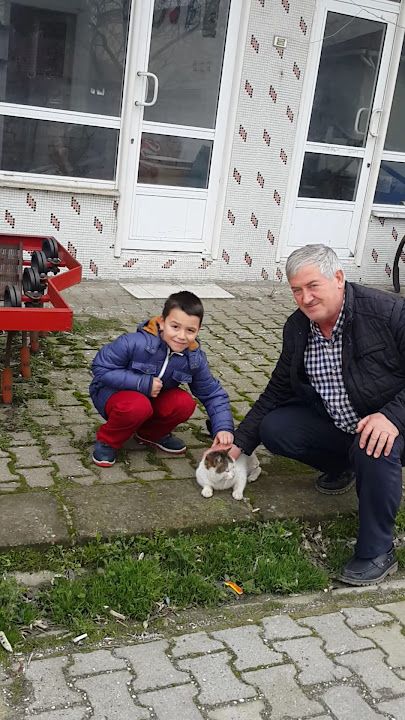 Fotoğraf 3