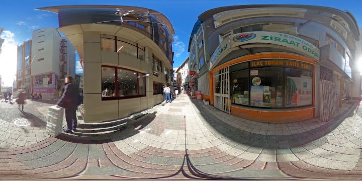 Fotoğraf 15