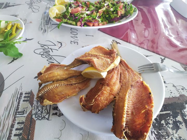 Fotoğraf 19