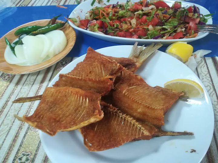 Fotoğraf 24
