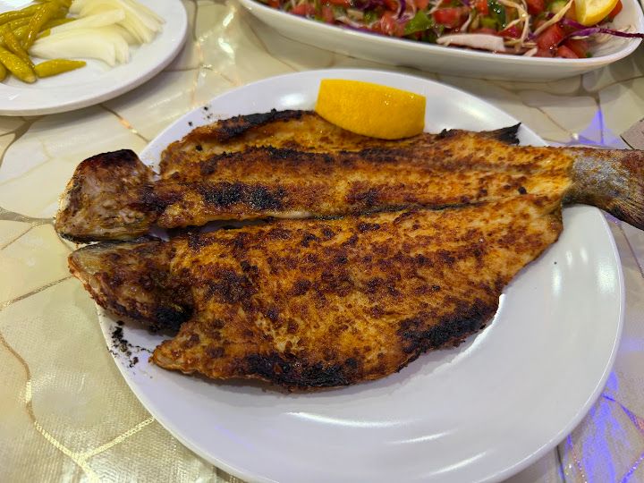 Fotoğraf 22