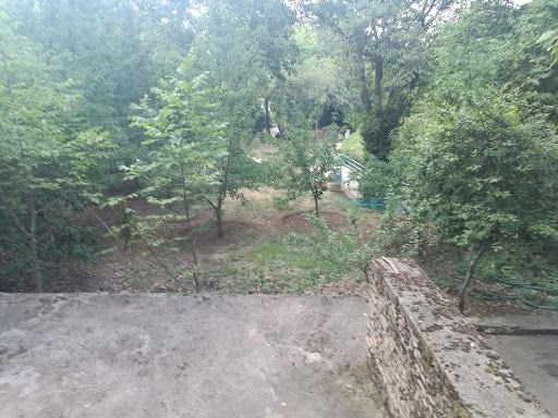 Fotoğraf 23