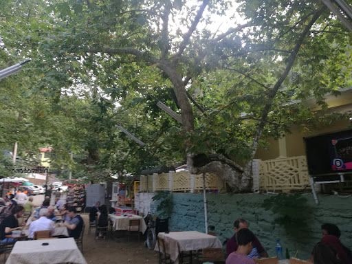 Fotoğraf 24