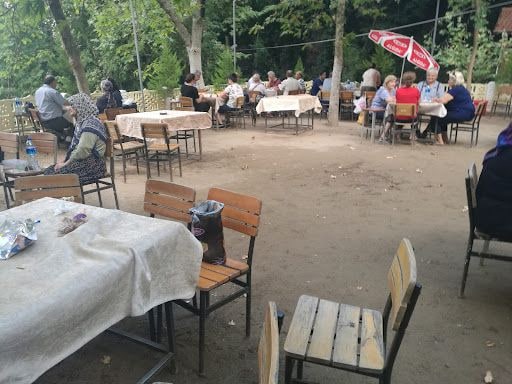 Fotoğraf 27