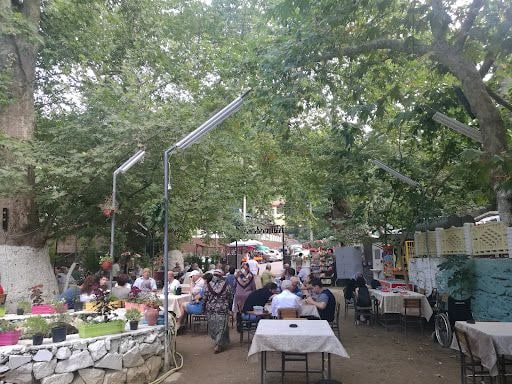 Fotoğraf 28