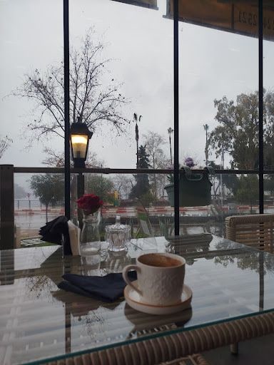 Fotoğraf 14