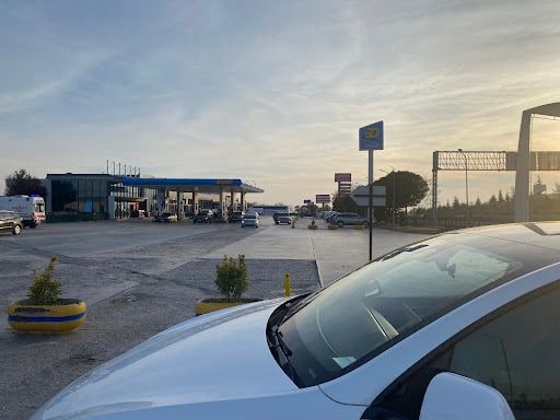 Fotoğraf 16