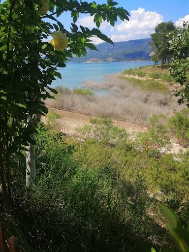 Fotoğraf 13