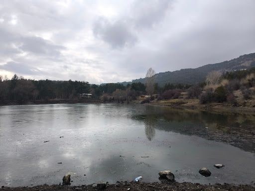 Yorum fotoğrafı 4