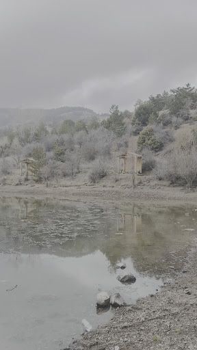 Yorum fotoğrafı 6