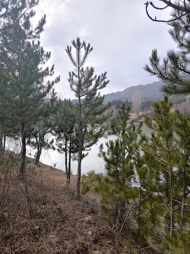 Yorum fotoğrafı 8