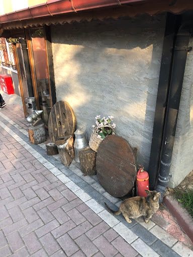 Yorum fotoğrafı 7