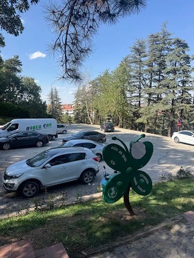 Yorum fotoğrafı 10