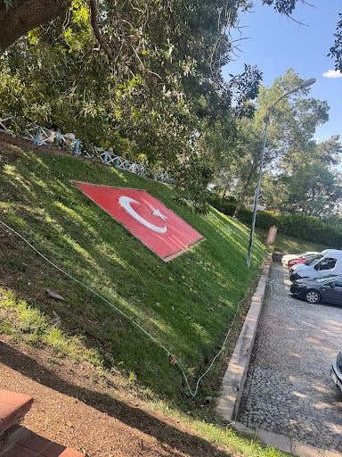 Yorum fotoğrafı 2