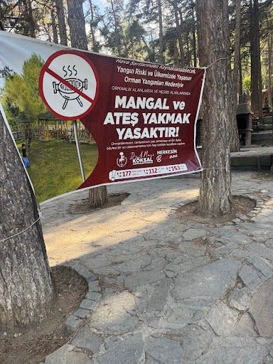 Yorum fotoğrafı 9