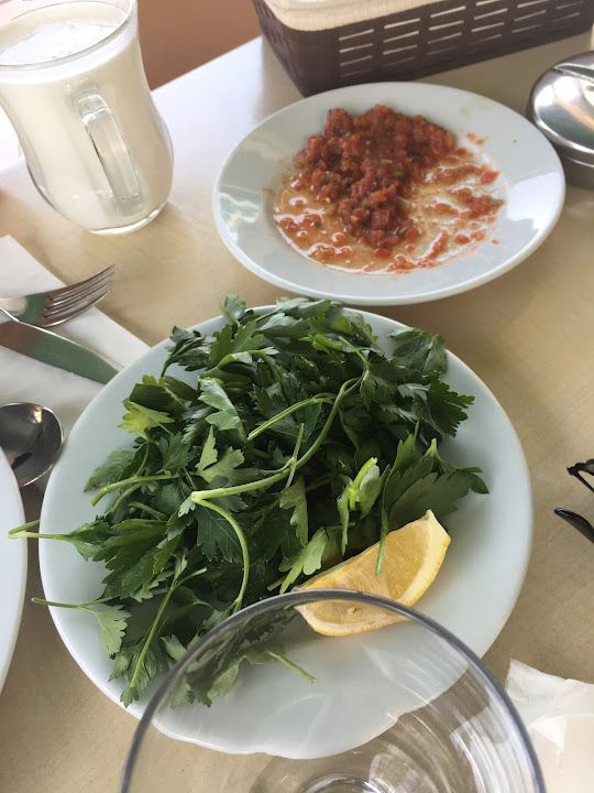 Fotoğraf 44