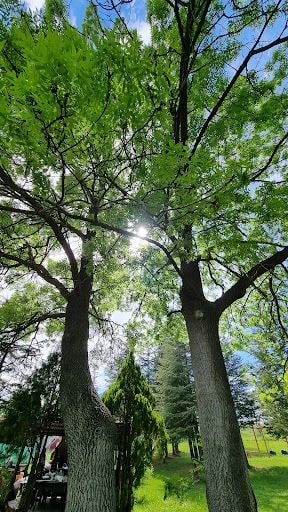 Yorum fotoğrafı 5